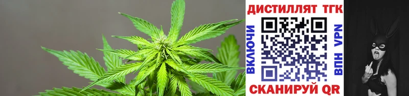 Дистиллят ТГК жижа  Купить  Кунгур 