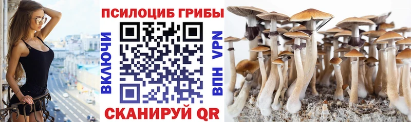 Псилоцибиновые грибы мицелий  Купить где  Кунгур 